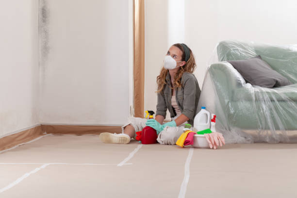 Reliable Basement Mold Removal contractor in Demarest, NJ by WQB Mold Removal